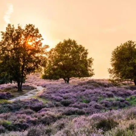 In Near Mookerheide, Cleaning Included Mook