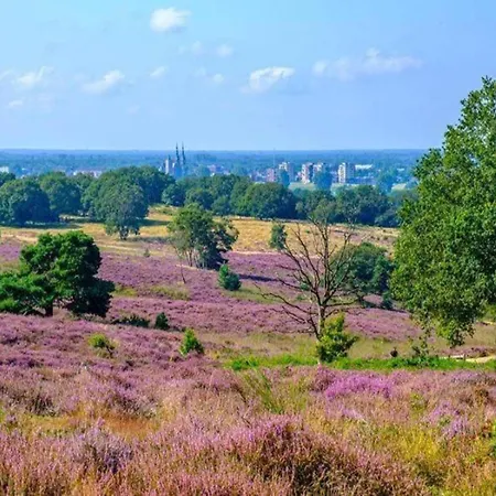 In Near Mookerheide, Cleaning Included